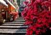  - PLD Travel